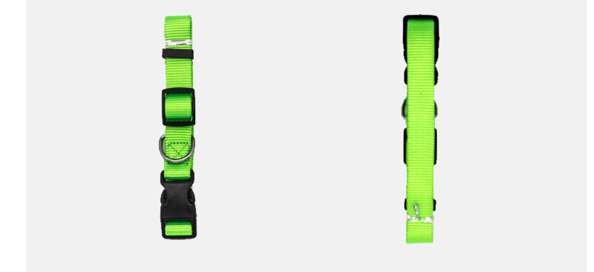 Classic Nylon Dog Collar with Quick-Release Buckle