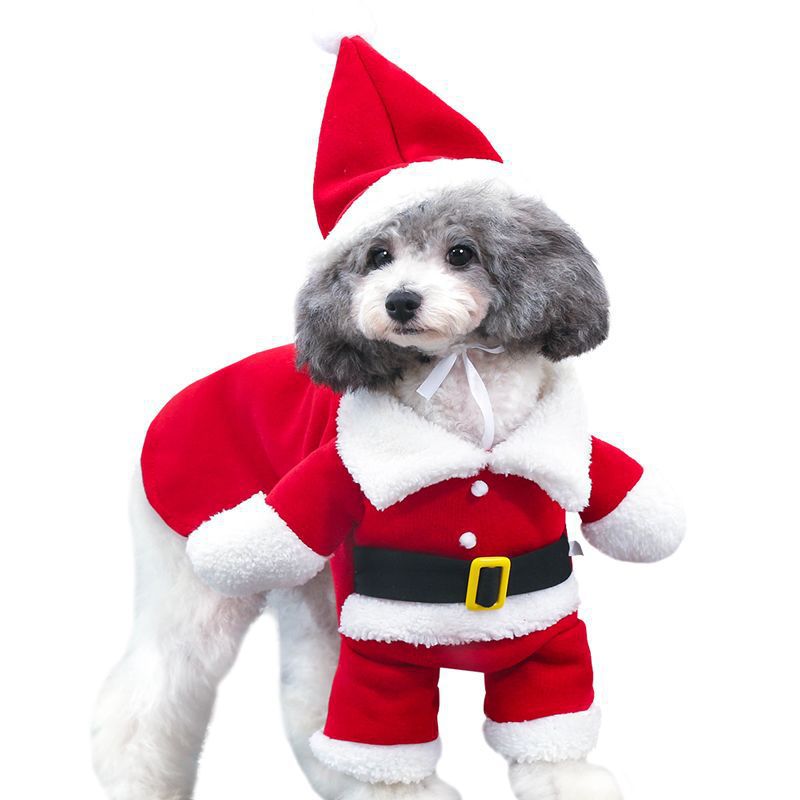 Santa Claus Dog Costume with Arms and Hat, Christmas Outfit for Small Dogs and Cats
