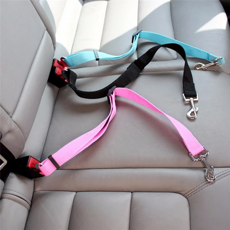 Pink and blue seat belt tethers buckled in a back seat