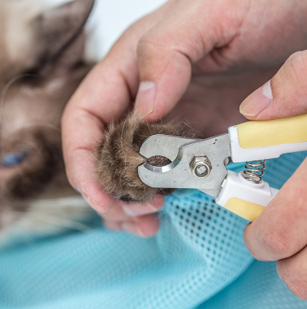 Cat Grooming Bag for Nail Trims, Baths and Ear Cleaning