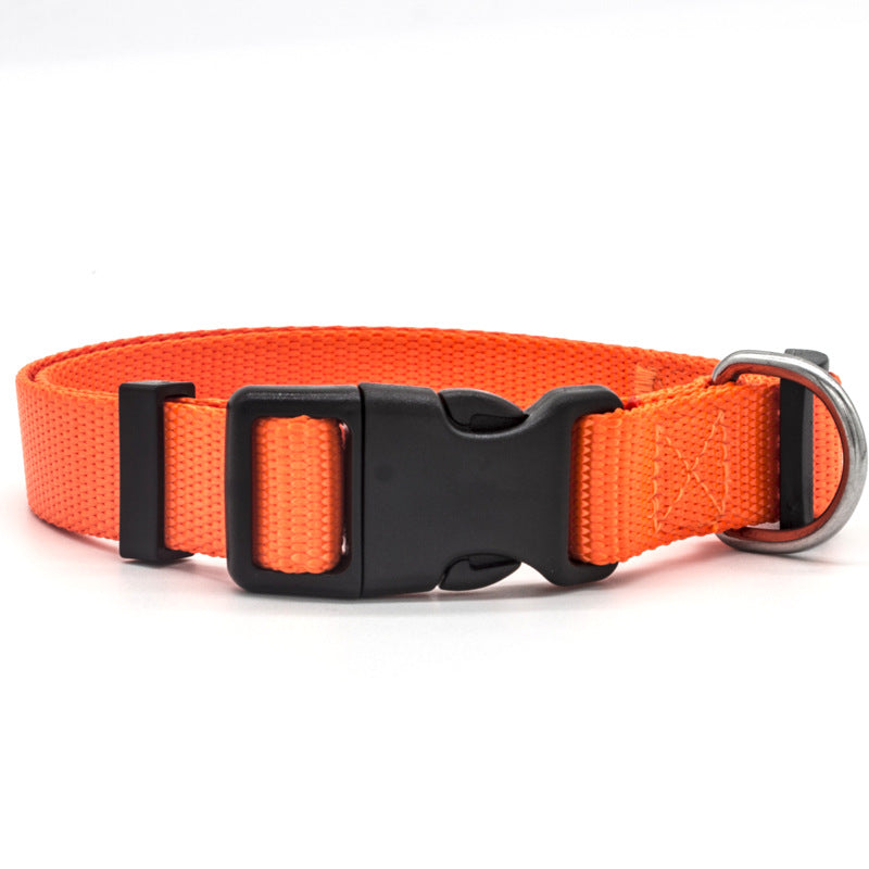 Classic Nylon Dog Collar with Quick-Release Buckle