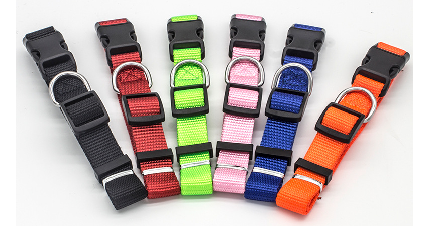 Classic Nylon Dog Collar with Quick-Release Buckle