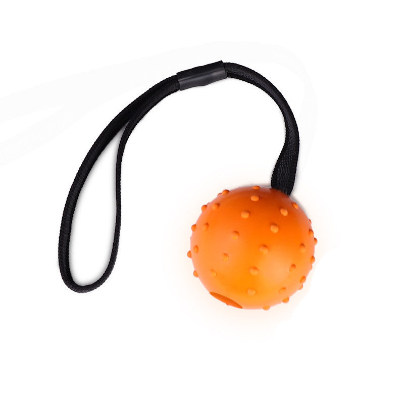 Pinermen Rubber Ball on a Rope for Dogs, Fetch and Tug Toy