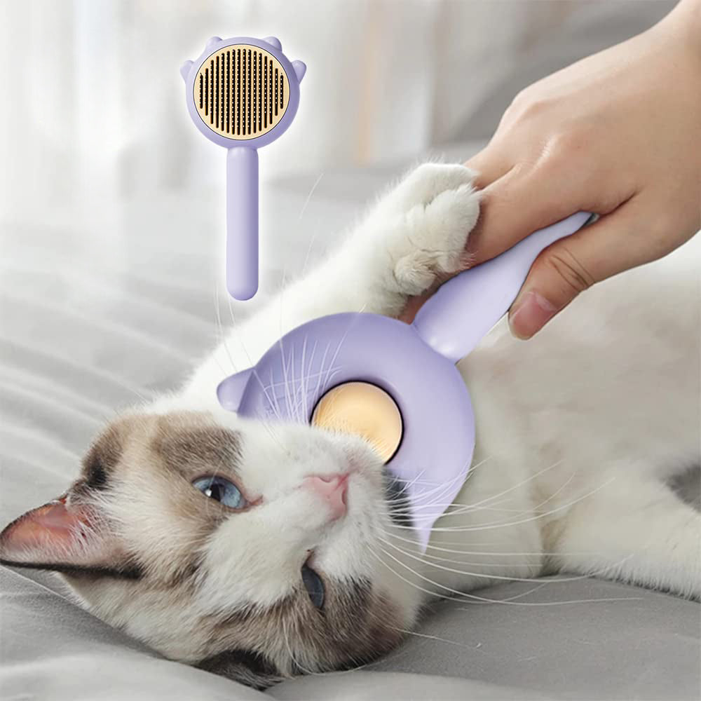 Brushing a cat with the purple slicker brush