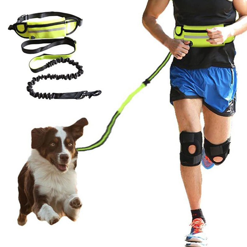 Runner jogging with a dog on the hands-free leash and waist pack