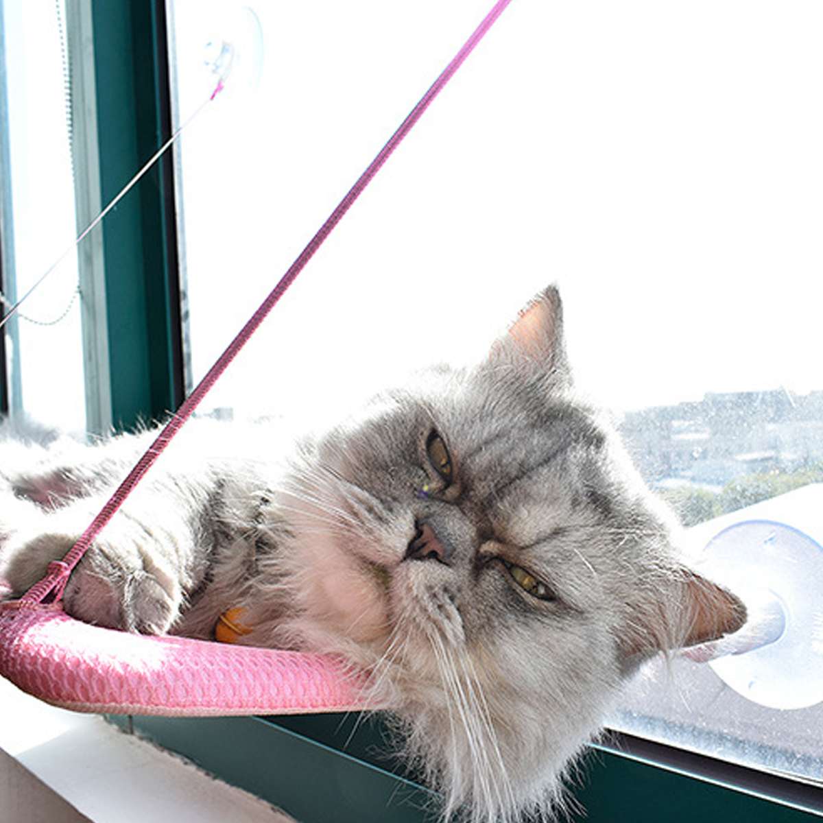Cat Window Perch with Suction Cups, Sunny Seat Hammock