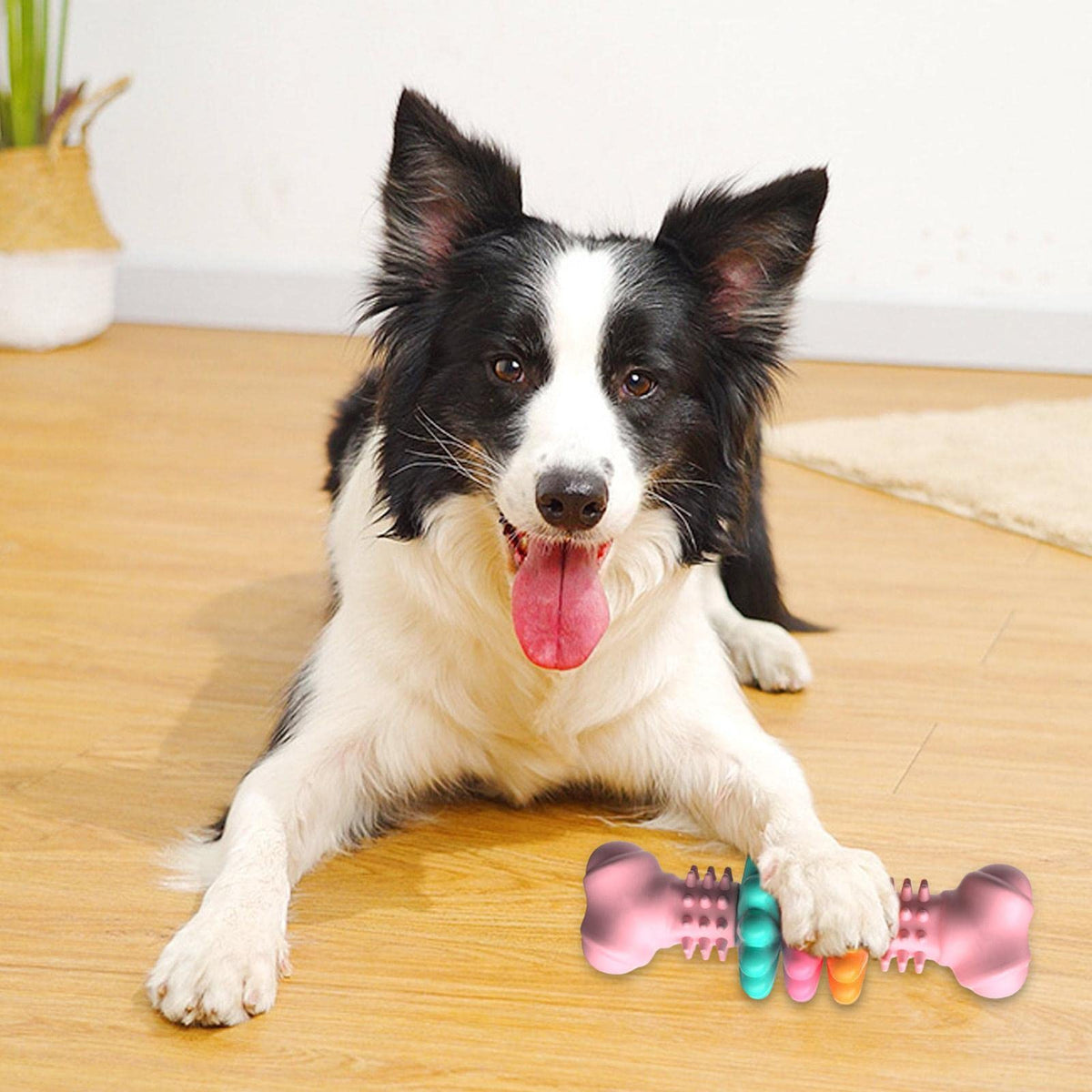 Pinermen Rubber Chew Bone for Dogs, Textured Teething Toy