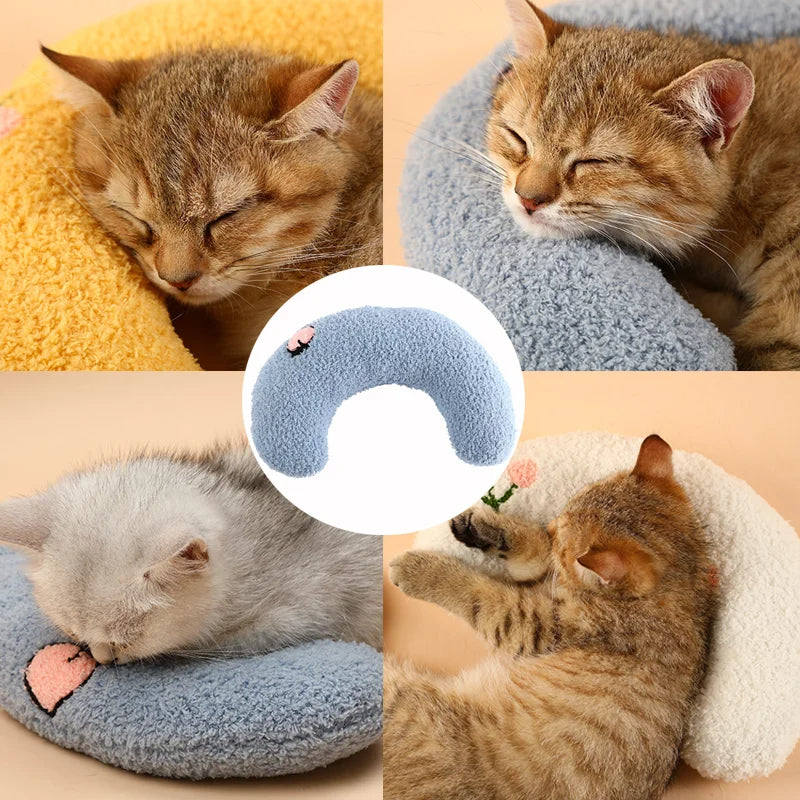 Cats resting on the little pillows in different poses