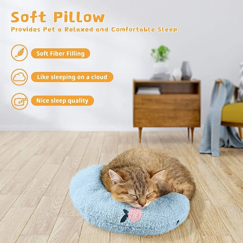 Cat napping on the blue little pillow in a living room