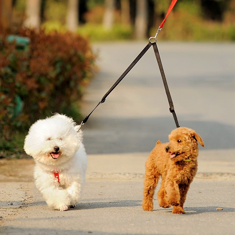 Double Dog Leash Coupler, Walk Two Dogs on One Leash