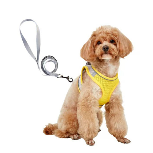 Breathable Mesh Vest Harness and Leash Set for Small Dogs
