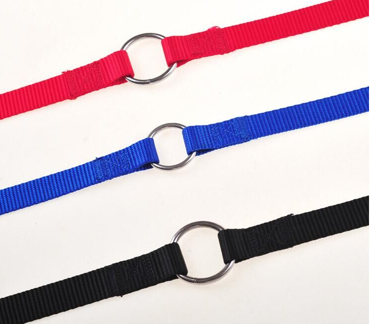 Double Dog Leash Coupler, Walk Two Dogs on One Leash