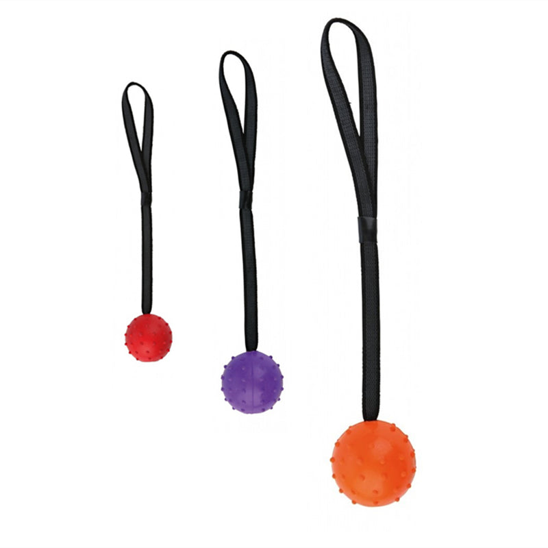 Pinermen Rubber Ball on a Rope for Dogs, Fetch and Tug Toy