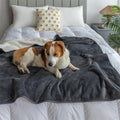 Dog lying on a gray washable pee pad blanket on a bed