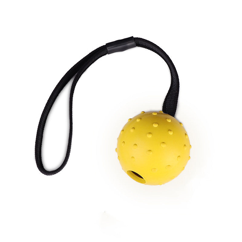 Pinermen Rubber Ball on a Rope for Dogs, Fetch and Tug Toy