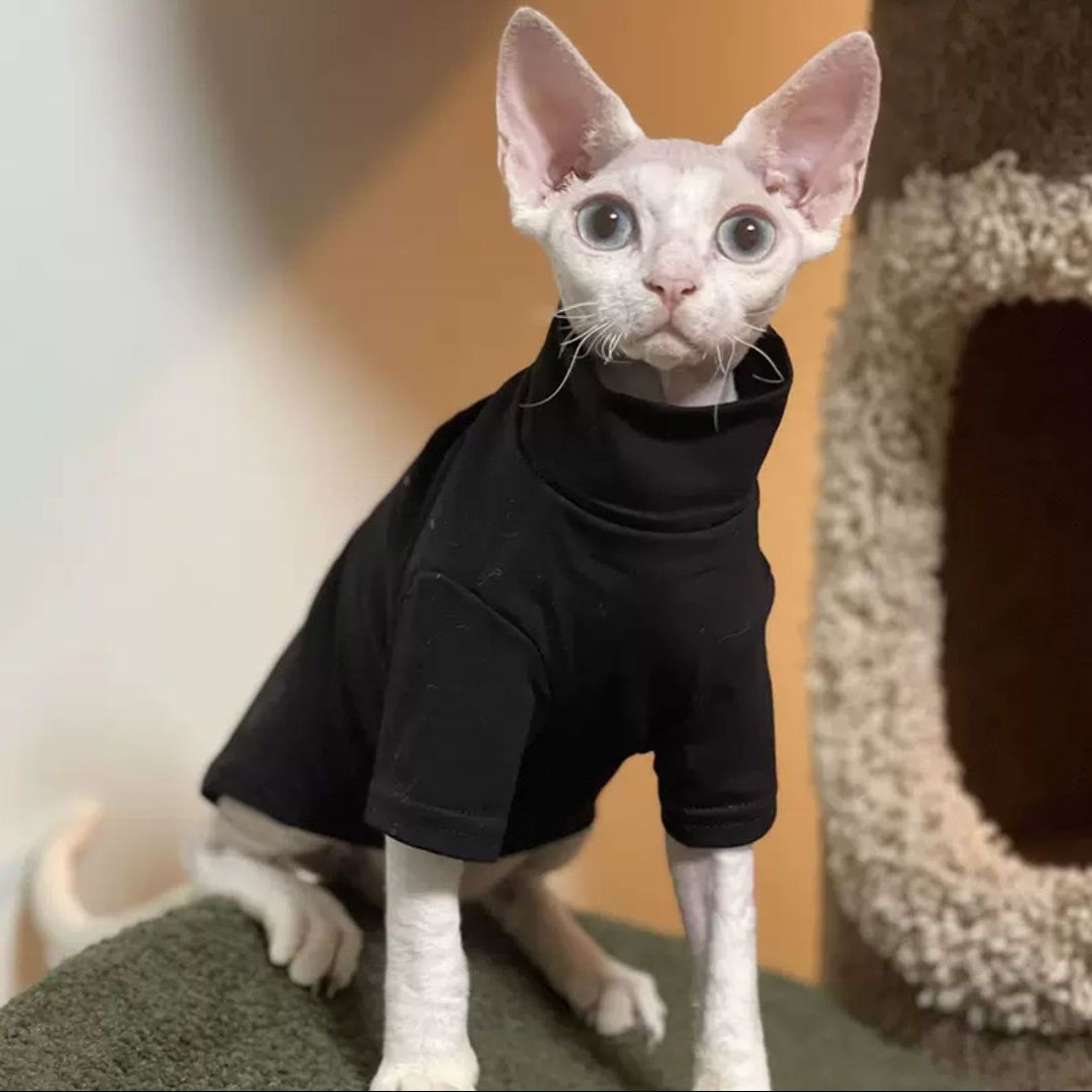 Turtleneck Sweater for Hairless Cats, Sphynx and Devon Rex