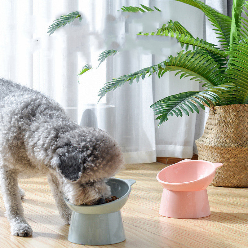 Raised Tilted Cat Bowl, Elevated Food Dish