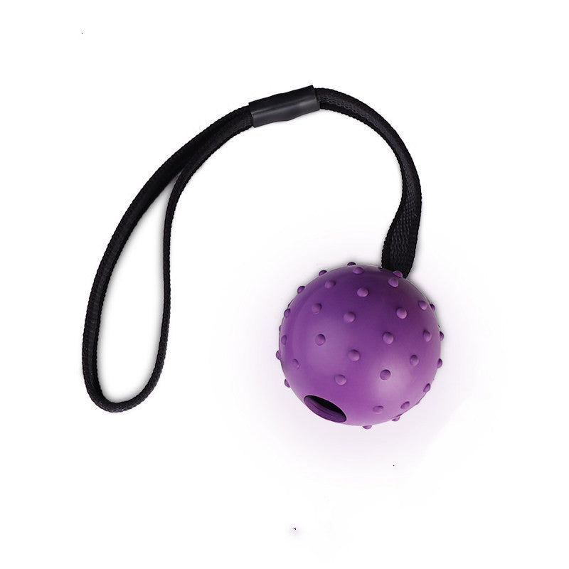 Pinermen Rubber Ball on a Rope for Dogs, Fetch and Tug Toy