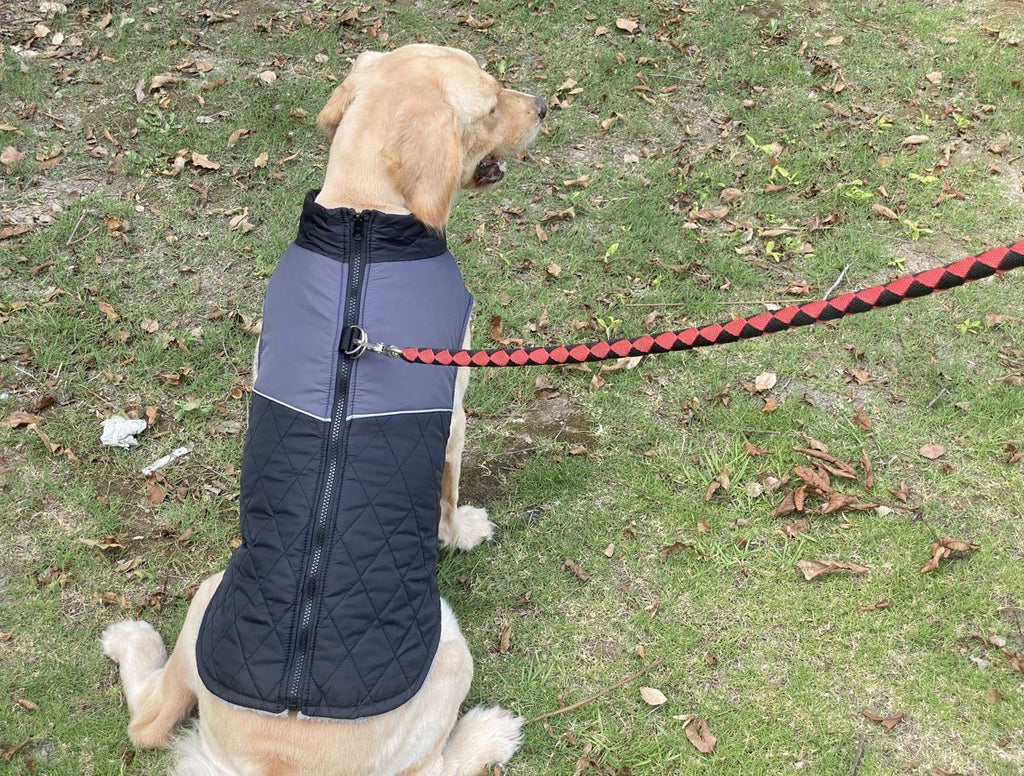 Quilted Fleece-Lined Dog Coat with Leash Hole, Reflective Winter Vest XS to 3XL