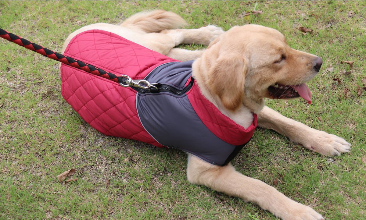 Quilted Fleece-Lined Dog Coat with Leash Hole, Reflective Winter Vest XS to 3XL
