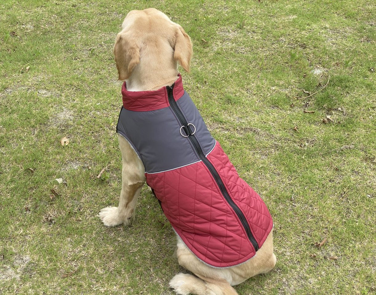 Quilted Fleece-Lined Dog Coat with Leash Hole, Reflective Winter Vest XS to 3XL