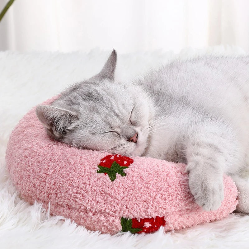 Kitten napping on the pink little pillow