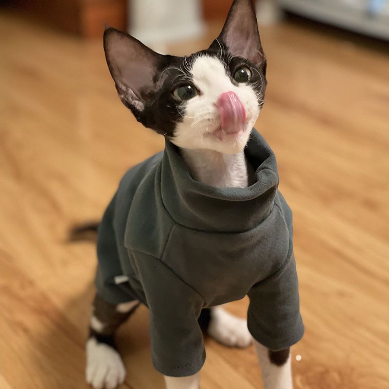 Turtleneck Sweater for Hairless Cats, Sphynx and Devon Rex