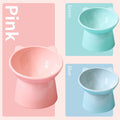 Raised Tilted Cat Bowl, Elevated Food Dish