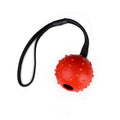 Pinermen Rubber Ball on a Rope for Dogs, Fetch and Tug Toy