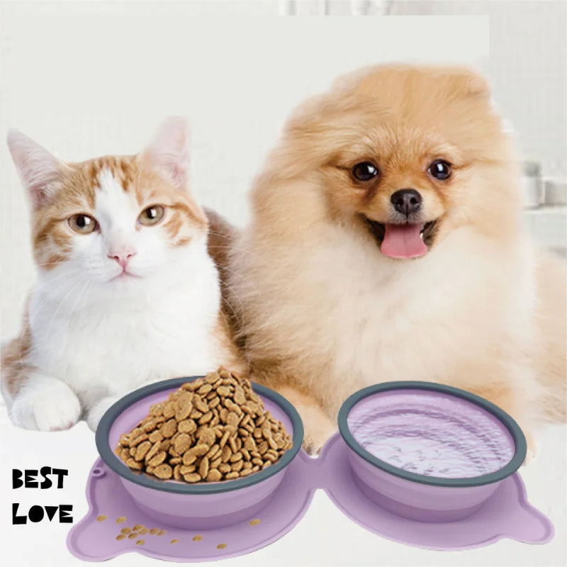 Cat and Pomeranian eating from the collapsible double travel bowl