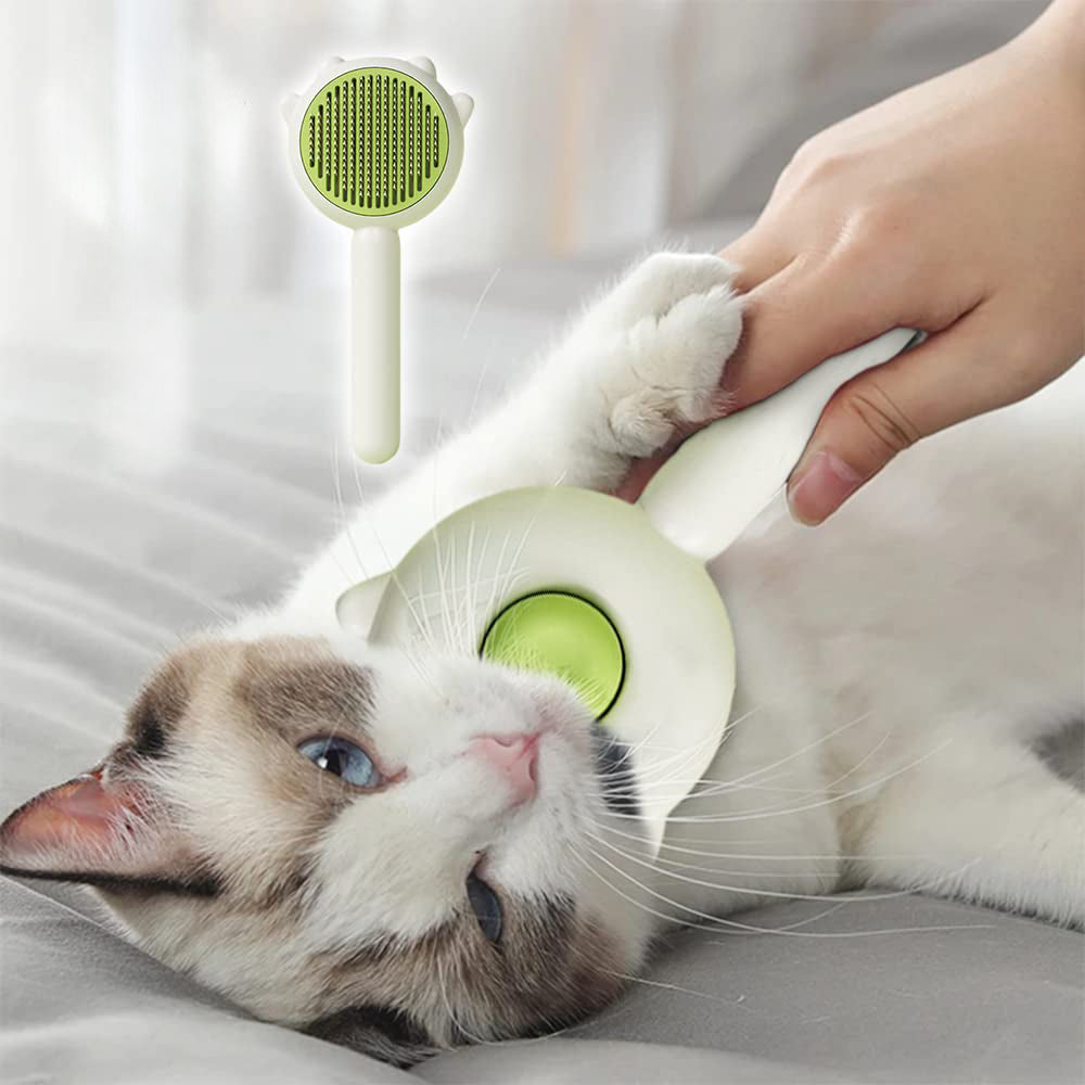 Brushing a cat with the green slicker brush