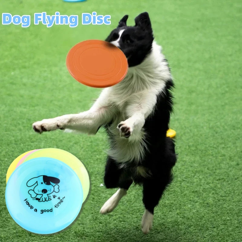 Border collie jumping to catch an orange soft flying disc